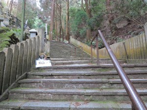 狸谷山不動院石段