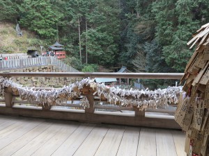  狸谷山不動院おみくじ