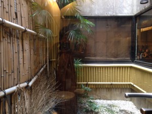 創作鉄板空SOLA坪庭