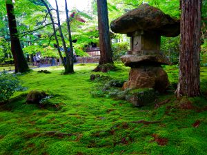 京都大原三千院石灯篭