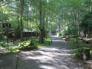 京都大原三千院庭園山道