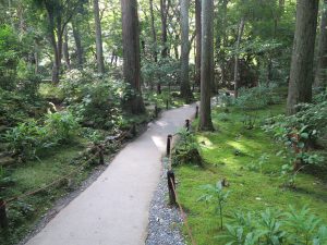 京都大原三千院庭園山道2