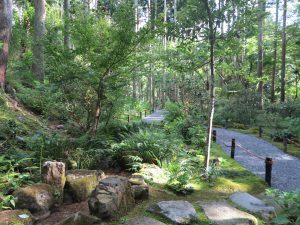 京都大原三千院庭園山道3