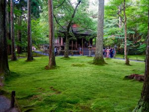 京都大原三千院苔お堂