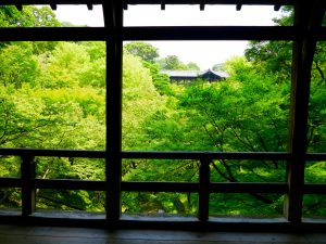 東福寺臥雲橋新緑