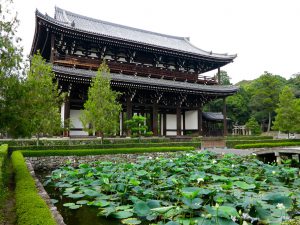 東福寺蓮越し