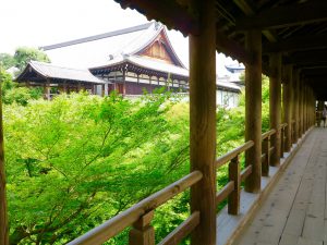 東福寺天通橋3
