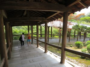 東福寺天通橋5