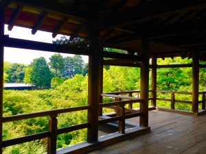 東福寺天通橋メイン