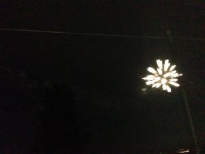 「びわ湖大花火大会」花火2