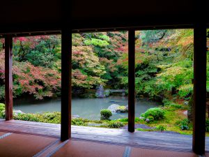 蓮華寺紅葉庭と池