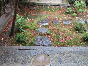 蓮華寺苔と紅葉