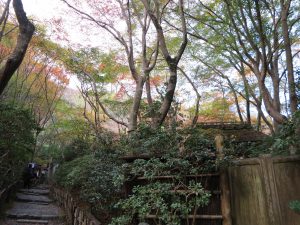 祇王寺紅葉入り口