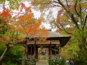 常寂光寺8