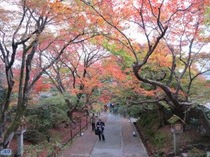 常寂光寺入り口紅葉