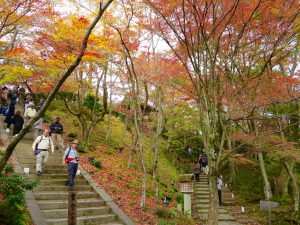 常寂光寺紅葉階段