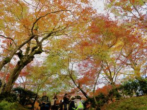 常寂光寺紅葉と空