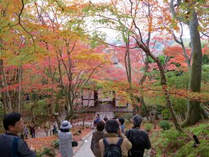 常寂光寺紅葉赤