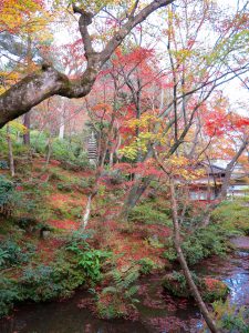 常寂光寺紅葉たて