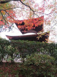 常寂光寺紅葉3