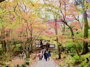 常寂光寺紅葉