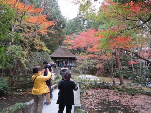 そうだ 京都 行こう の中でもオススメの京都紅葉 法然院 京都観光とグルメのブログ
