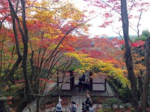 常寂光寺紅葉2