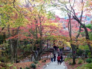 常寂光寺紅葉1