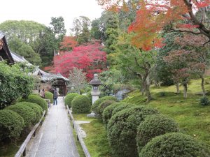 栄摂院紅葉参道