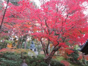 栄摂院紅葉仏像