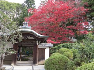 栄摂院紅葉門