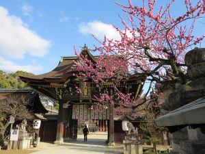 北野天満宮梅梅