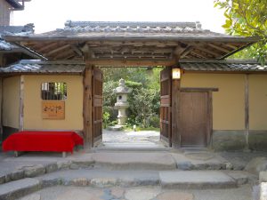 京都桜お花見哲学の道h