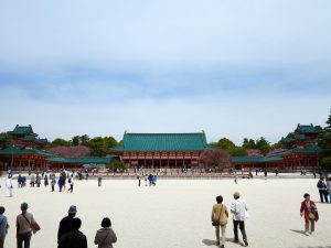 平安神宮桜お花見3