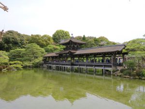 平安神宮桜お花見16