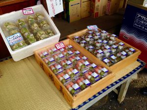 45原谷苑桜お花見