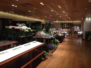 京都八百一本館1