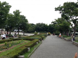 梅小路公園1