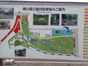 梅小路公園3