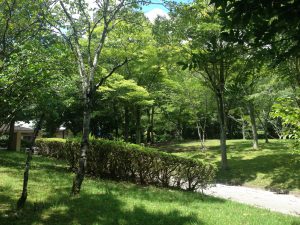 宝ヶ池公園夏99