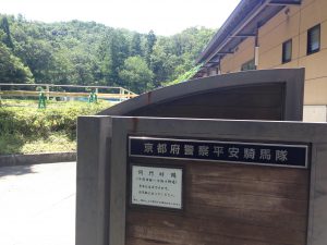 宝ヶ池公園夏66
