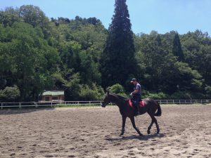 宝ヶ池公園夏0