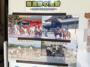 宝ヶ池公園夏6