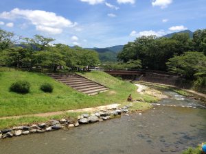 宝ヶ池公園夏5