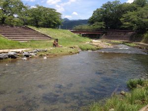 宝ヶ池公園夏4