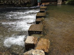 宝ヶ池公園夏