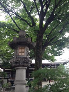 本能寺4
