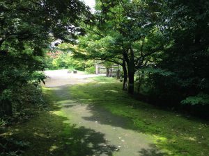 梅小路公園333