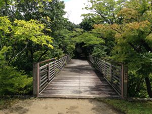 梅小路公園555