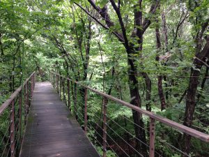 梅小路公園888
